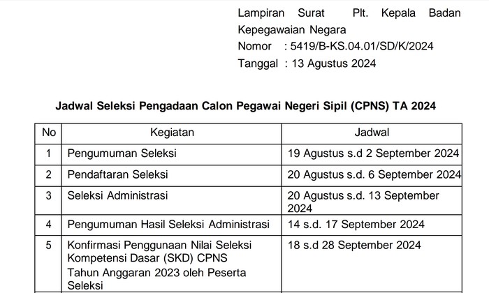 250.407 Formasi CPNS 2024 Dibuka 20 Agustus: Cek Syarat, Jadwal, & Cara Daftar